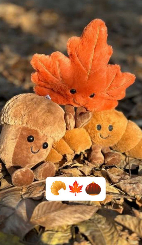 چارم بگ و آویز لاکچری